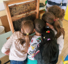 Castellanza - Green Week 2026