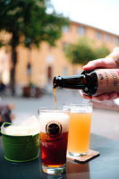 Generica - Birra artigianale