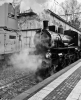 Eventi - Treno a vapore a Luino