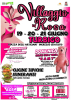 Turbigo - “Villaggio in Rosa”, locandina 2026