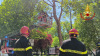 Territorio - Intervento dei Vigili del Fuoco su un albero