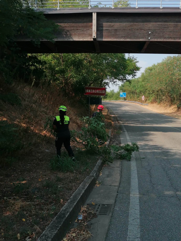 Vanzaghello - La protezione civile pulisce bordo strada Vanzaghello - La protezione civile pulisce bordo strada