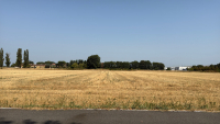 Territorio - Campi secchi in questa estate 2026
