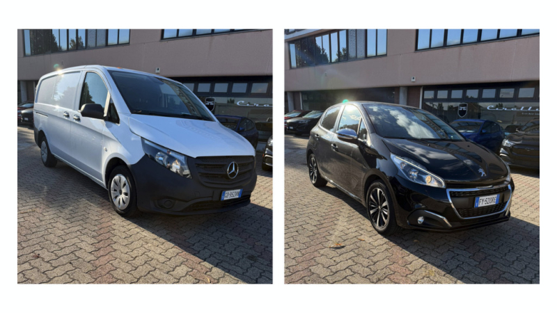 Ablondi SafeChoice Ablondi SafeChoice