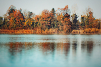 Ambiente - Autunno su un lago