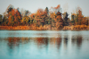 Ambiente - Autunno su un lago