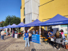 Bareggio - Festa Patronale 2026