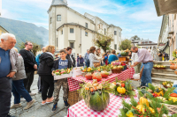 Eventi - Fuori di Zucca in piazza a Santa Maria Maggiore 2025