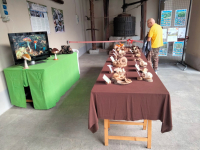 Cuggiono - Mostra micologica 2026